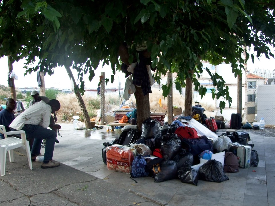 Interior del campamento