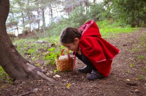 Caperucita roja / Fotos de cuento. Cecília López